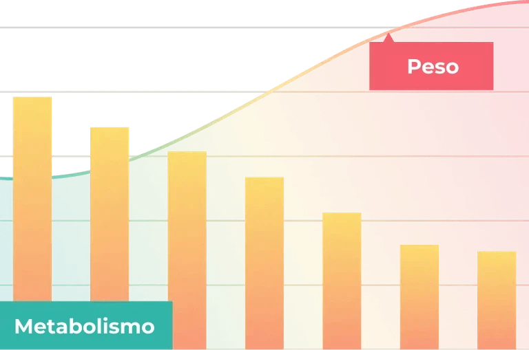 Gráfico metabolismo