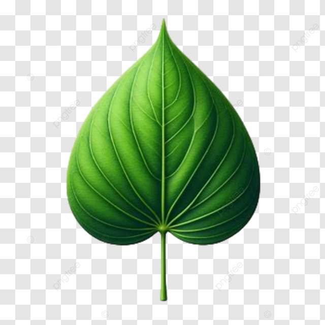 testemauhalito.online favicon