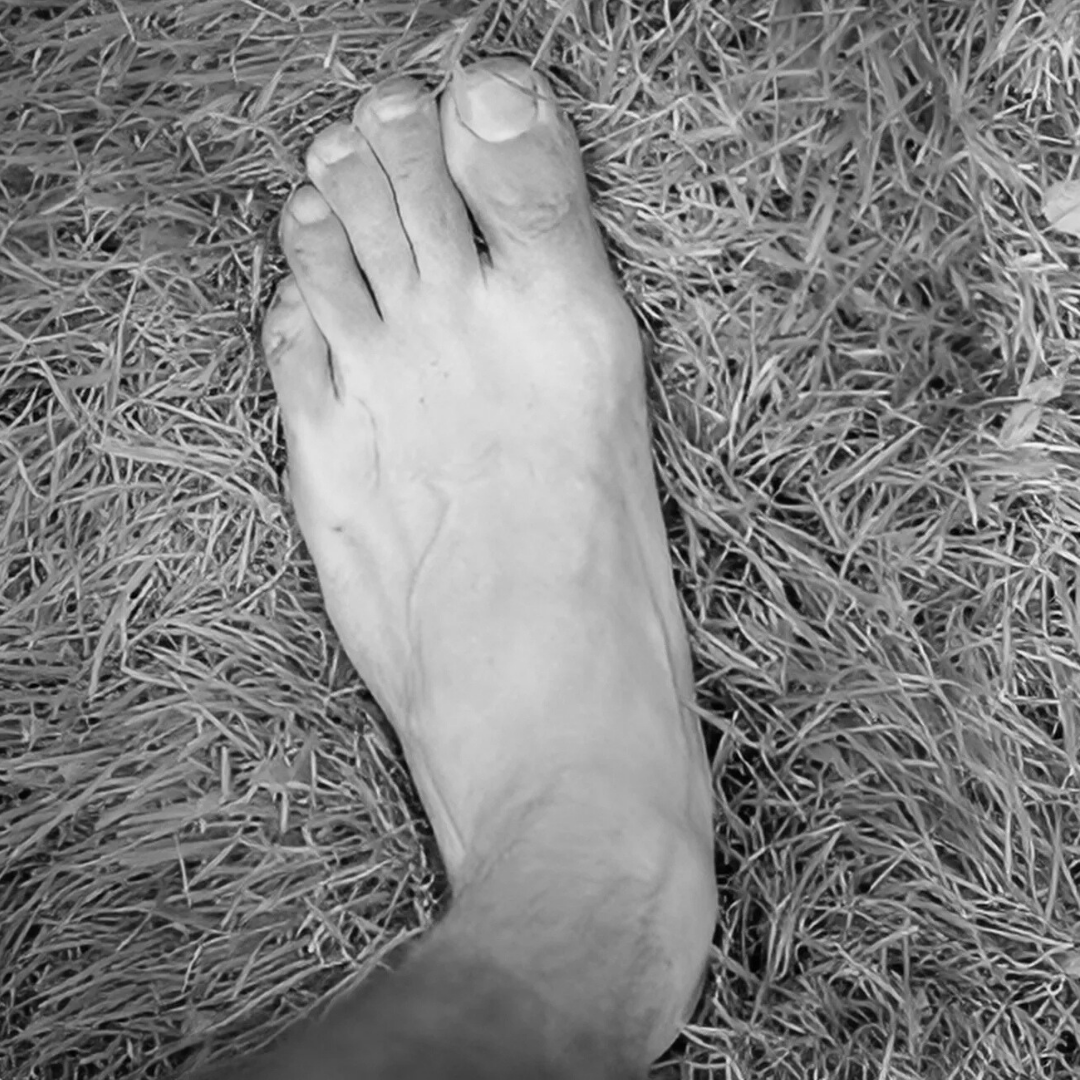 Antes do treino de fascia